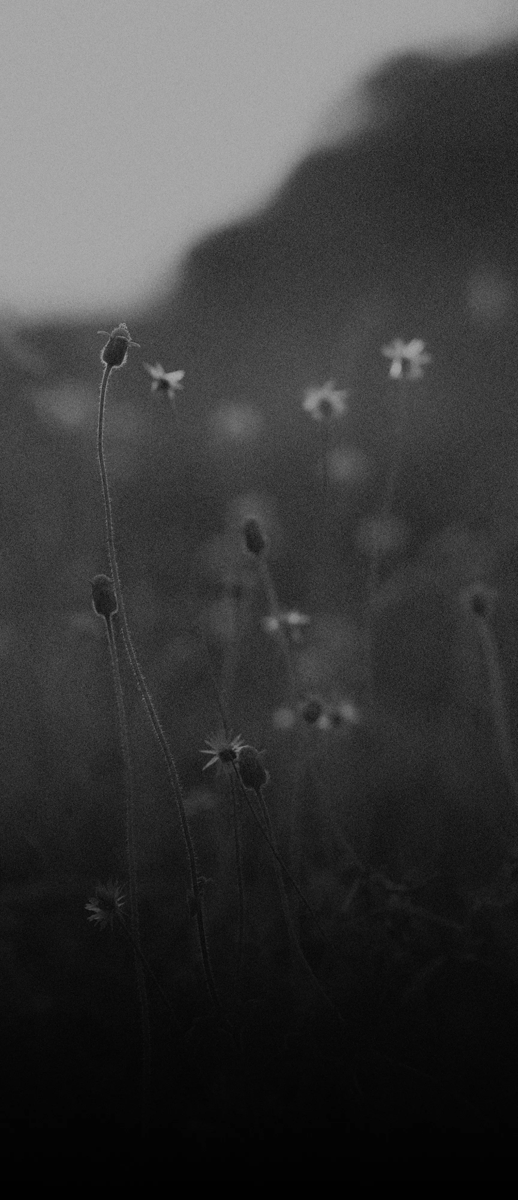 about-background