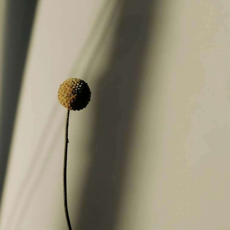 the_golden_virtue_thumb